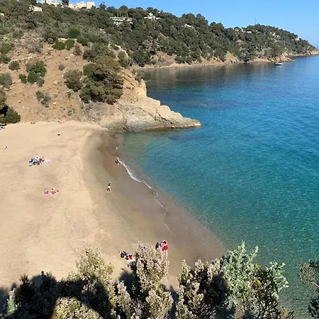 Dattier - Welkeys Cavalaire-sur-Mer